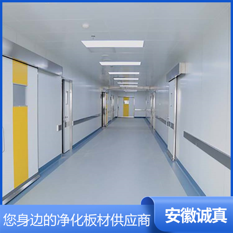 安徽诚真新材料科技